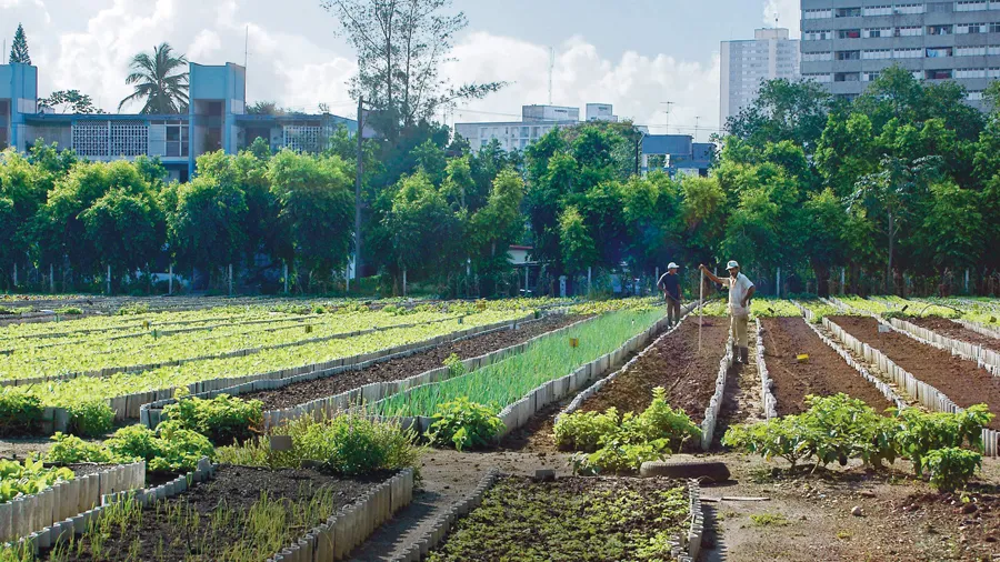 બિનખેતીની પરવાનગીને સરળ કરવા ગુજરાત સરકારના ટકોરાબંધ પગલા
