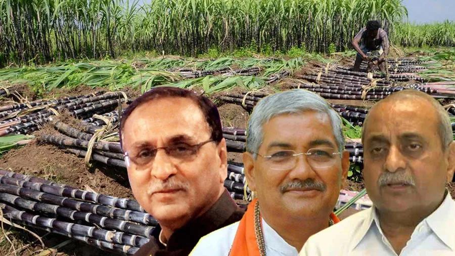 ગુજરાતની સુગર ફેકટરીઓ માટે રાહતનો ખજાનો: 8000 કરોડના પેકેજને મંજૂરી
