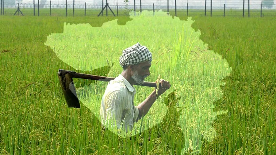જાણો ગુજરાતનો ખેડૂત સમૃદ્ધ છે કે દેવાળિયો છે, આંકડા સ્પષ્ટ છે