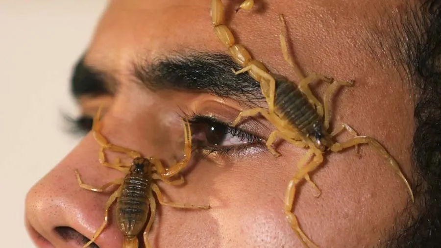 વીંછીનું ઝેર વેચી કરોડો કમાય રહ્યો છે આ વ્યક્તિ, એક ગ્રામનો ભાવ જાણીને ચોંકી જશો