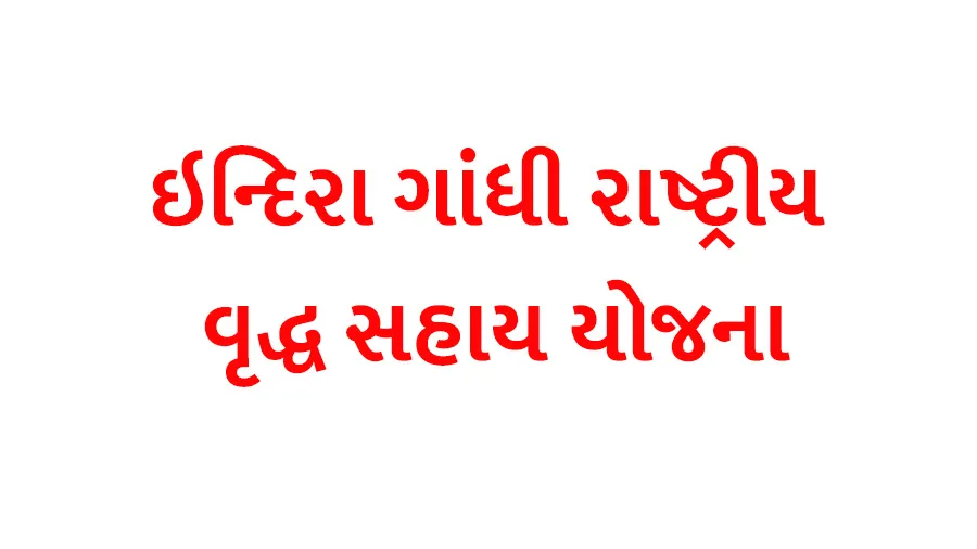 ઇન્દિરા ગાંધી રાષ્ટ્રીય વૃદ્ધ પેન્શન અરજી કર્યાના પછીના માસથી મળે છેઃ મંત્રી