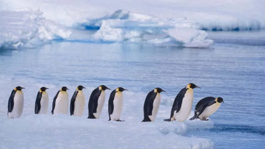 દુનિયાને મળ્યો પાંચમો મહાસાગર, નામ છે સાઉથર્ન ઓશિયન