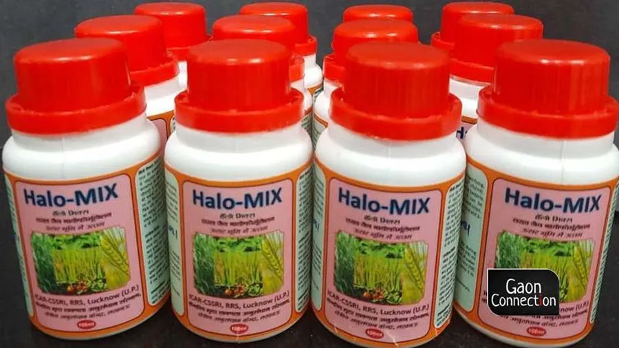 એવા બેક્ટેરિયાની શોધ જેનાથી કચ્છ સહિતની 60 લાખ હેક્ટેર ખારી જમીનમાં ખેતી થઇ શકશે