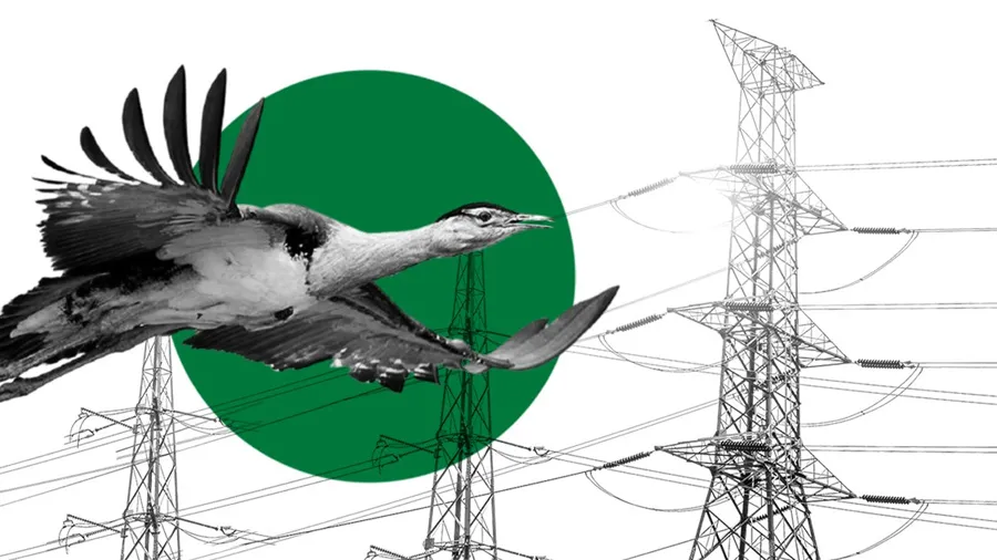 હું ઘોરાડ છું, અમારી વસ્તી હવે ગુજરાતમાં ફક્ત 4 જ બચી છે, પછી તસવીરોમાં દેખાઇશું