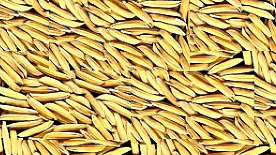 ડાંગરની બાસમતી જાતની ખેતી કરતા ખેડૂતો માટે  બીજ ખરીદી શરૂ