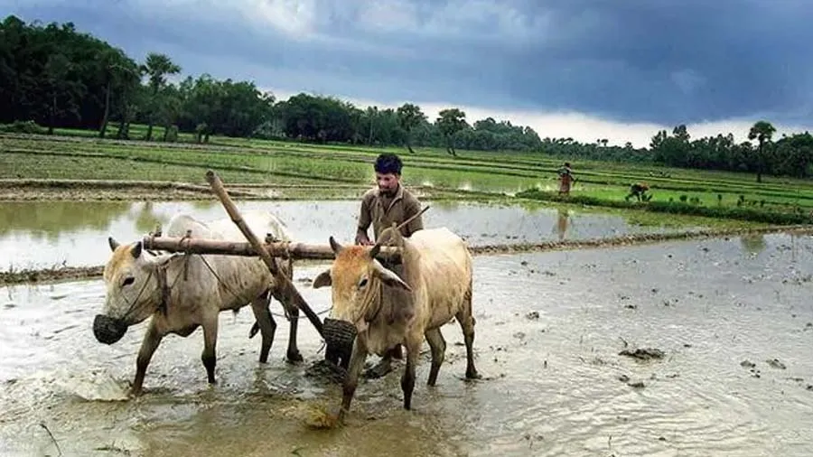 ખેડૂતો માટે ગૂડ ન્યૂઝ, હવે જમીનની સાચી કિંમત જાણી શકશે ખેડૂત