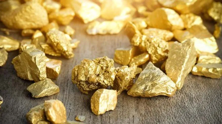 સાઉદી અરબના મદીનામાંથી મોટો મળ્યો ખજાનો, સરકાર થઈ ખુશ