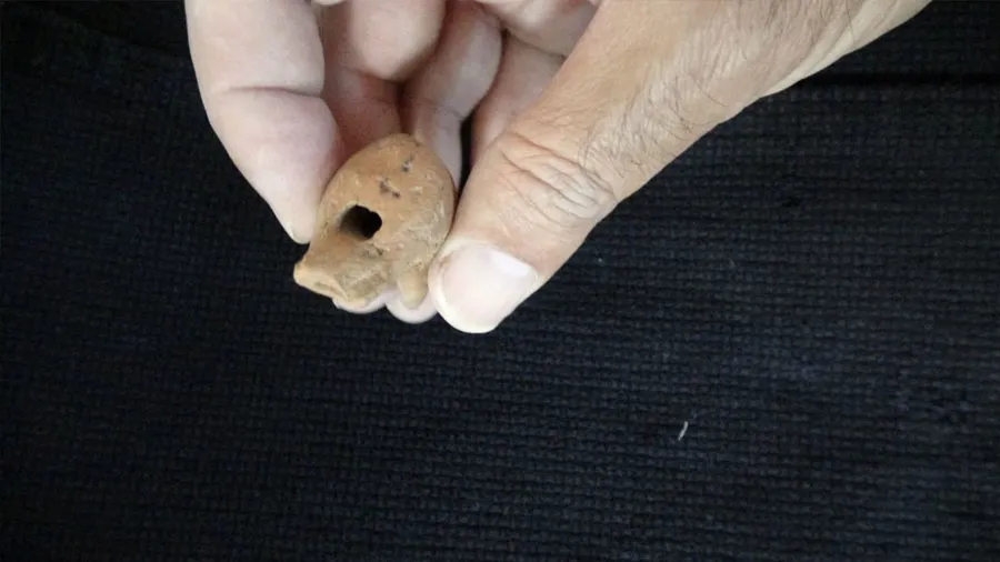 એક છોકરાની કબરમાંથી મળી 2000 વર્ષ જૂની સિટી