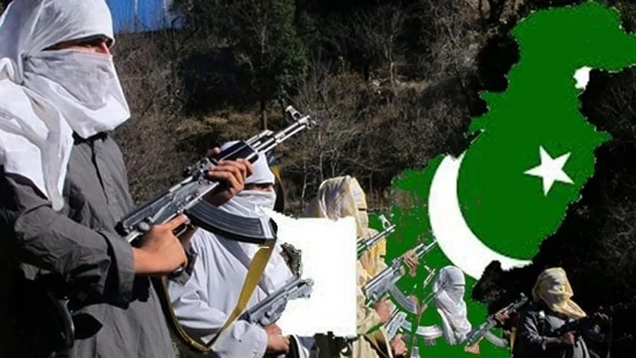 પોતે ઉછરેલા સાંપોલિયા હવે ડંખે છે. એક પ્રદેશ પર આંતકીઓનો કબ્જો, પાક સેના લાચાર