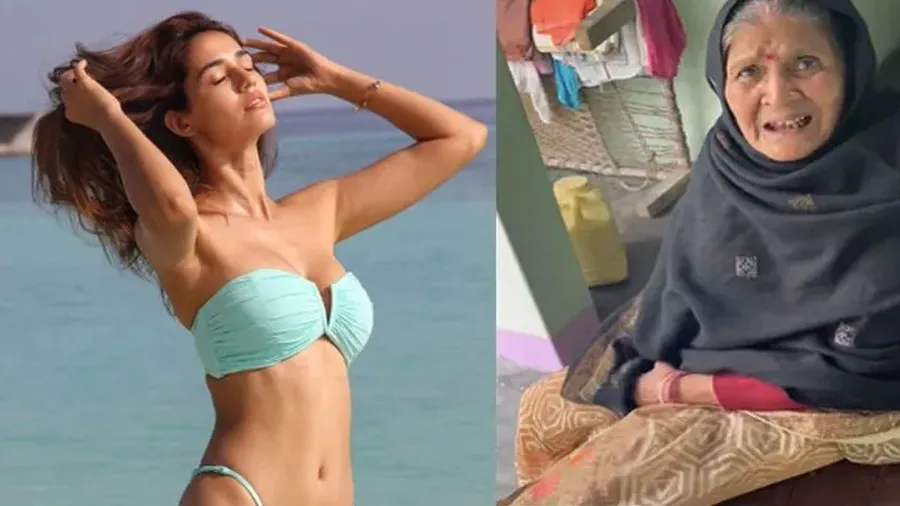 લગ્ન માટે પૌત્રએ દાદીને બતાવ્યો દિશા પાટનીનો ફોટો, પછી દાદીએ....,જુઓ ફની વીડિયો