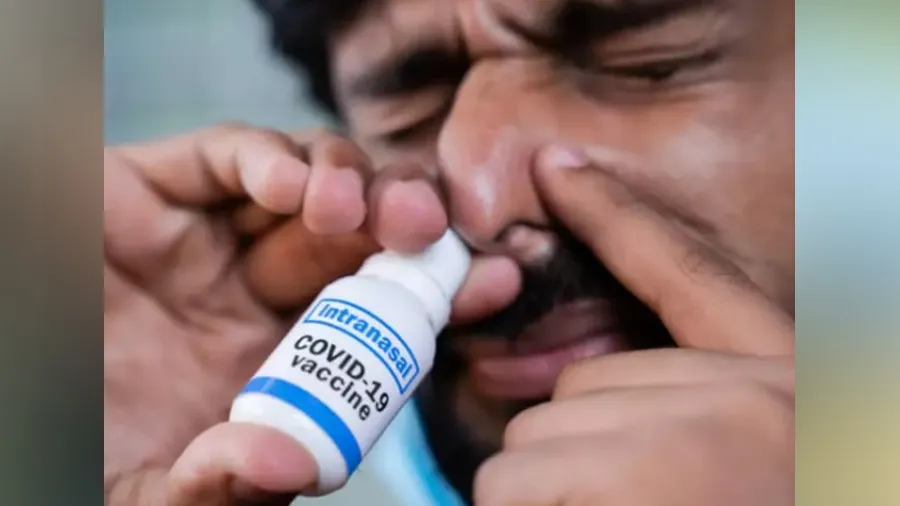 આ લોકો નહીં લઈ શકે નેઝલ વેક્સીન, એક્સપર્ટે જણાવ્યું કારણ