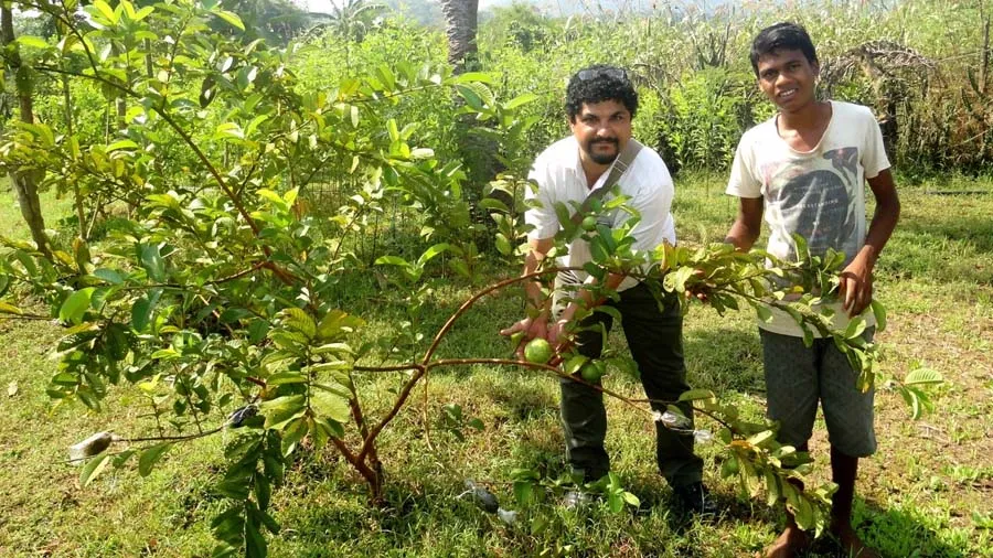 અદાણી ઈલેક્ટ્રીસીટી-અદાણી ફાઉન્ડેશનના સંયુક્ત ઉપક્રમે દહાણુમાં પશુદાન કાર્યક્રમ