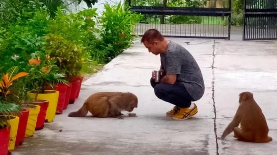 IPS ઓફિસરે લગાવી એવી ટ્રીક, વાંદરાઓને ભગાડવાની ડ્યૂટી થઈ ખતમ