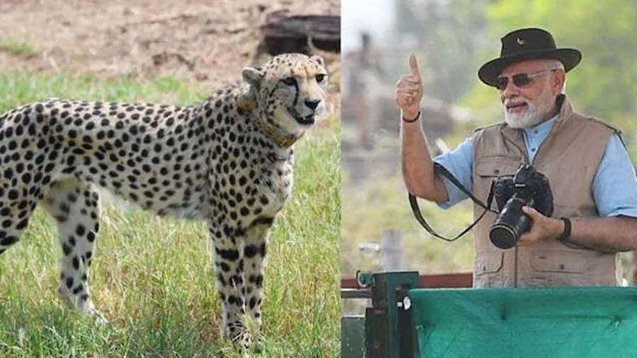 કુનો નેશનલ પાર્ક નજીક બેરોજગારી, ગરીબી અને ભૂખમરો, કુપોષણમાં નંબર-1