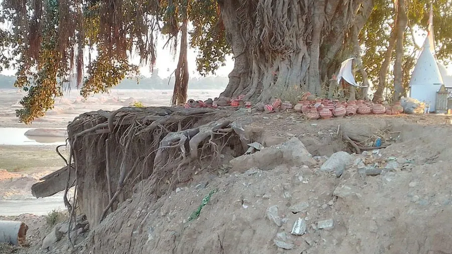 છોટા ઉદેપુરઃ 400 વર્ષ જુના વડલો ગમે ત્યારે ઢળી પડશે, તંત્રની ઉંઘ ઉડતી નથી