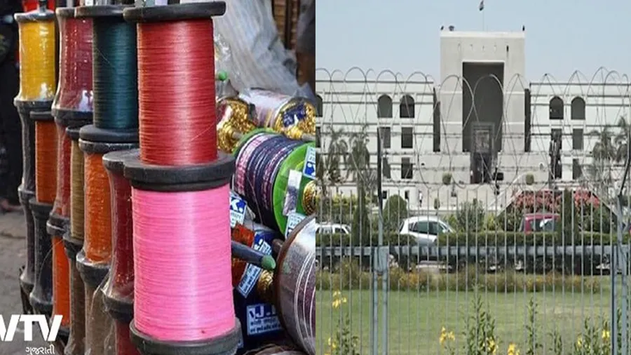 ચાઇનીઝ દોરીથી થતા મોત પર ગુજરાત હાઇ કોર્ટે સરકારની કાઢી ઝાટકણી