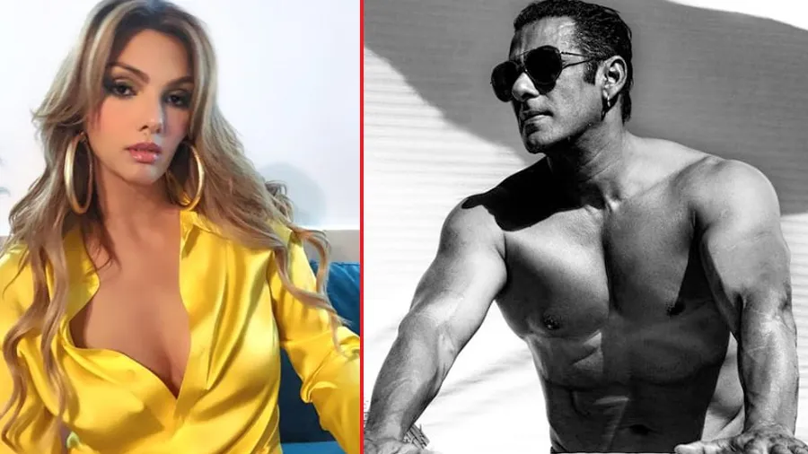 એક્સ ગર્લફ્રેન્ડ સોમી અલીનો સલમાન પર આરોપ, તેણે મારા પર ફોડી હતી બોટલ