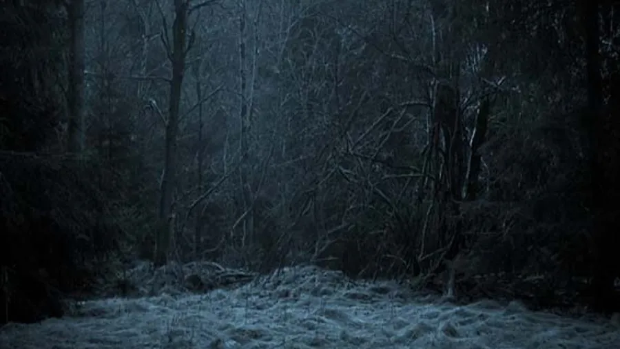 ભૂતિયા ગામમાં છેલ્લા અંતિમ સંસ્કાર! આ રીતે પુત્રએ કરી પિતાની અંતિમ ઈચ્છા પૂરી