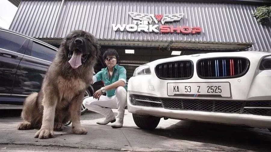 બેંગ્લોરના વ્યક્તિએ 20 કરોડ રૂપિયામાં આ એક કૂતરું ખરીદ્યું, જાણો કેમ છે ખાસ