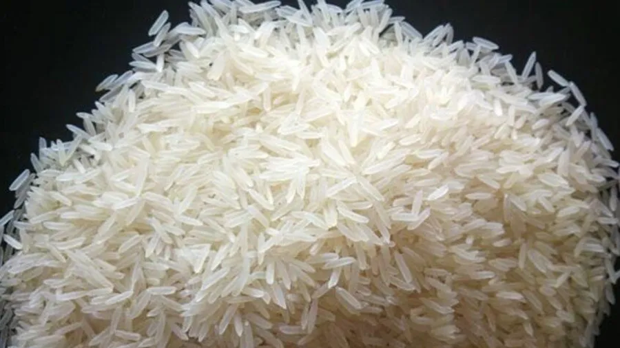 સપ્લાયમાં સુધારો અને ભાવ સ્થિર થતા ચોખાની નિકાસ પરનો પ્રતિબંધ પાછો લઈ શકે સરકાર