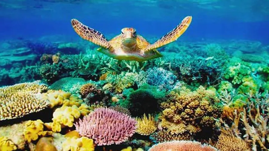 ટુરિઝમનું આ ચલણ, જેના કારણે દુર્લભ જગ્યા પર તોળાઇ રહ્યું છે અસ્તિત્વનું જોખમ