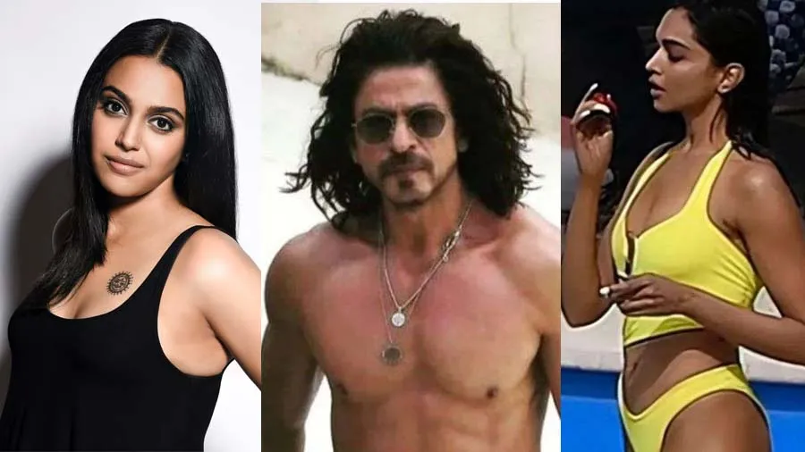 પઠાણ: સ્વરા ભાસ્કરનો નેતાને ટોણો, અભિનેત્રીના કપડાને બદલે કામ પર ધ્યાન આપો