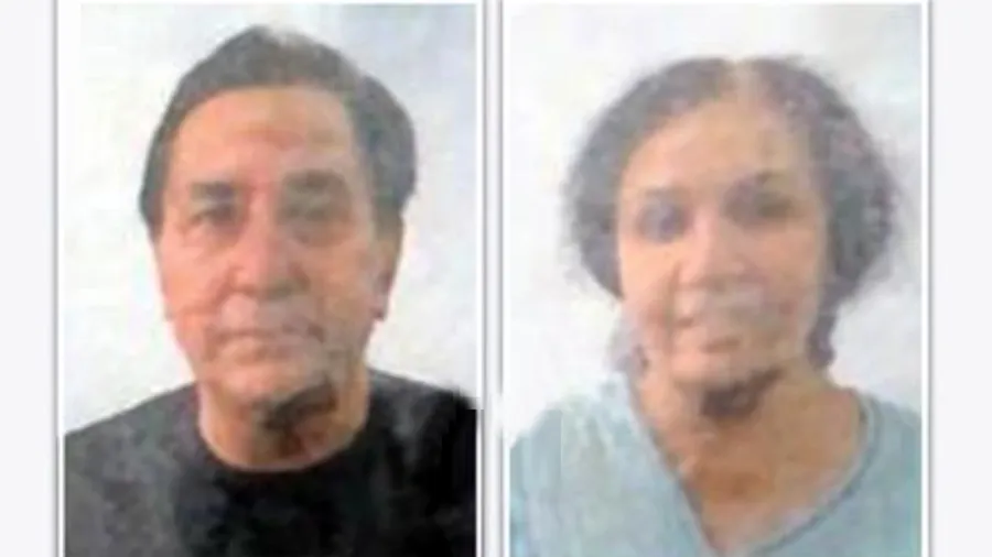 USથી પરત ફરેલા દાદા-દાદીએ ભત્રીજાને મેસેજ કર્યા બાદ આત્મહત્યાનો કર્યો પ્રયાસ