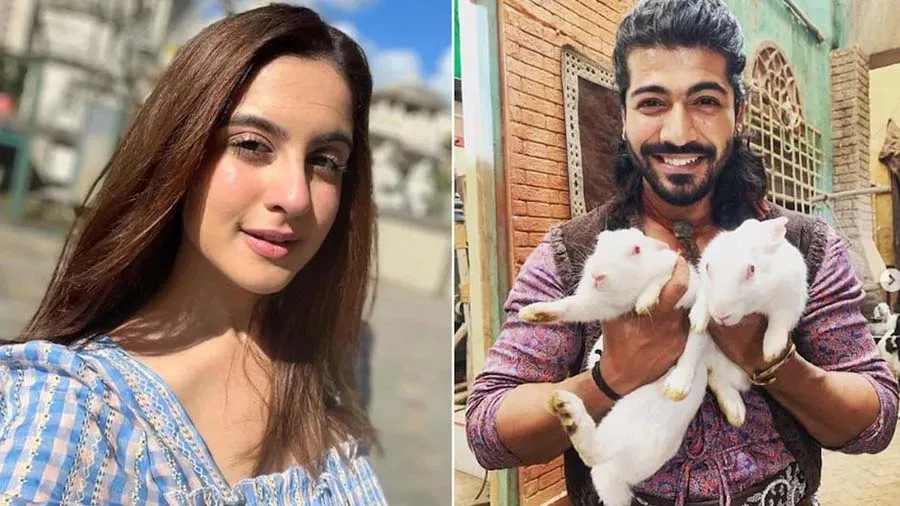 તુનિષા આપઘાત કેસ: શીજાને કહ્યું- મુસલમાન છું એટલે ધરપકડ થઈ, મને ઉર્દુ આવડતી નથી