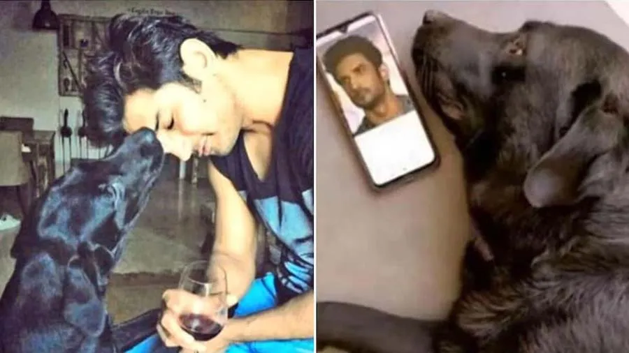 સુશાંતના પાળેલા કુતરા ફજનું થયું મોત, બહેને શેર કર્યો ફોટો, ફેન્સ થયા ઈમોશનલ