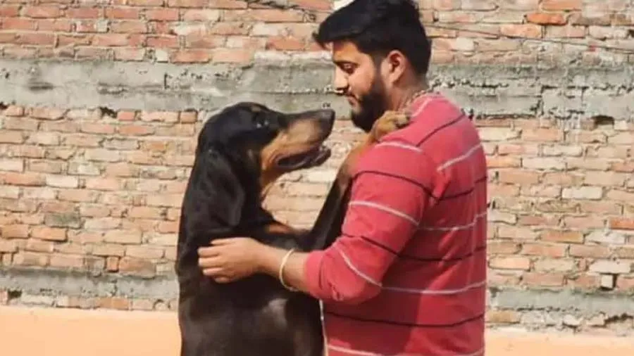 BJP ધારાસભ્યના સંબંધીના કૂતરાના મોત પર હોબાળો, MLAના કોલ બાદ તંત્ર કામે લાગ્યું