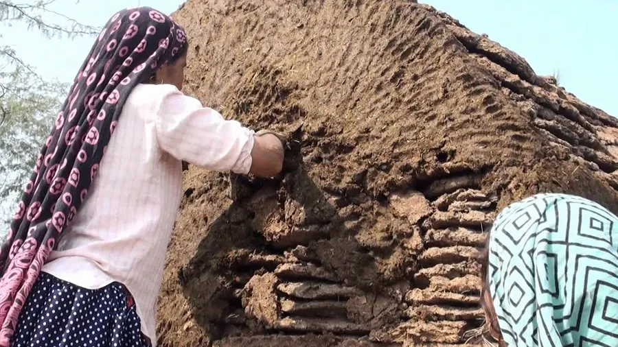 ગાયના છાણથી બનેલા ઘરો એટોમિક રેડિએશનથી પ્રભાવિત નથી થતાઃ કોર્ટનું નિવેદન