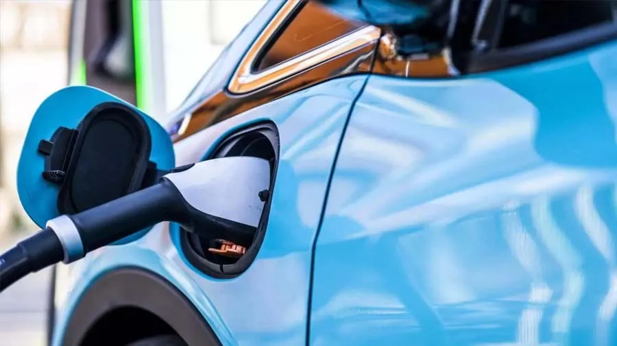 ગોબર ગેસથી દોડશે કાર, 6 નવી ઈલેક્ટ્રીક કારો પણ લાવી રહી છે Maruti, જાણો પ્લાન