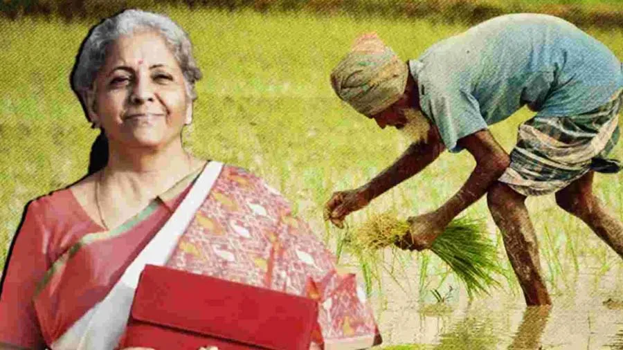 કૃષિ સ્ટાર્ટ અપ અને બરછટ અનાજને પ્રોત્સાહન, જાણો બજેટમાં ખેડૂતો માટે શું-શું છે?