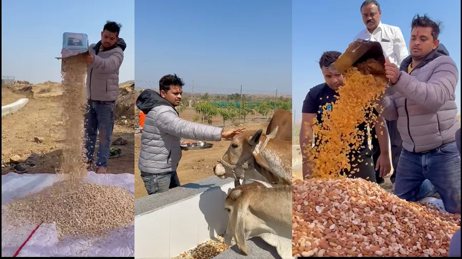 રીયલ લાઇફ હીરો ખજૂરભાઇએ ગાય માતાને આટલા કિલો કાજૂ-બદામ ખવડાવ્યા, જુઓ વીડિયો