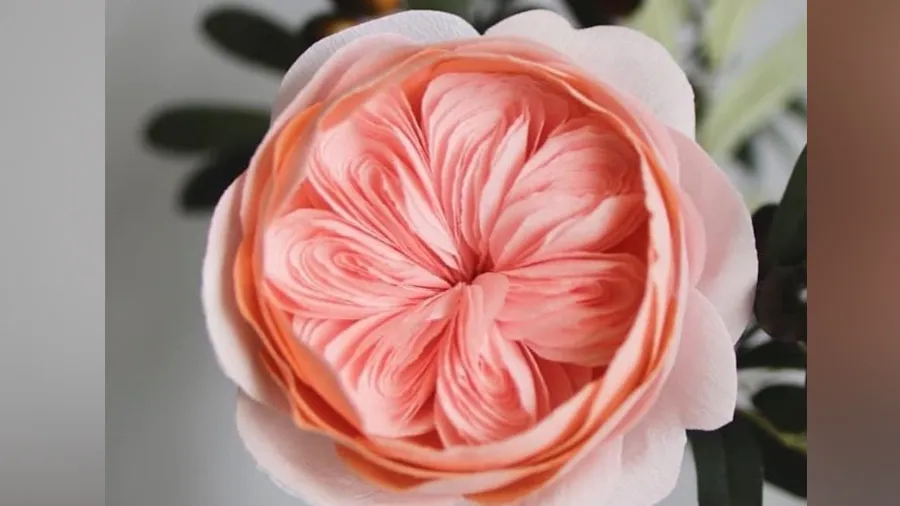 દુનિયાનું સૌથી મોંઘુ ગુલાબ, જેની કિંમતમાં આવી જશે 10 Rolls Royce કાર