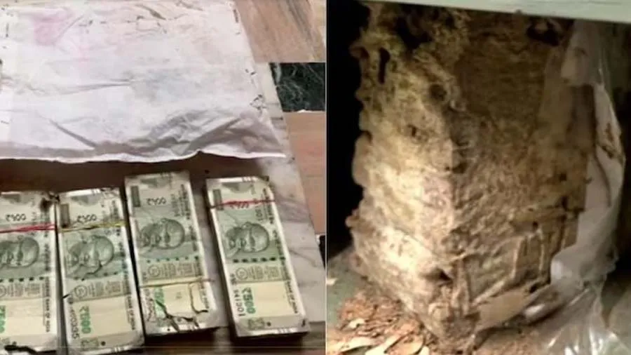 બેંક લોકરમાં મુકેલી લાખો રૂપિયાની નોટો પર ઉધઇ લાગી ગઇ, મહિલાના હોંશ ઉડી ગયા