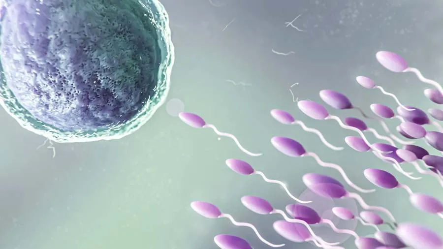 પુરુષોના સ્પર્મને અટકાવી દેશે આ નવી રીત, અનિશ્ચિત પ્રેગ્નેન્સીનું નો ટેન્શન