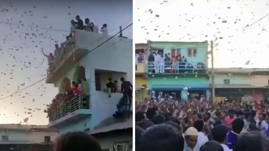 ગુજરાત: પૂર્વ સરપંચના ભત્રીજાના લગ્નમાં નોટોનો વરસાદ, વિણવા માટે હોડ મચી, વીડિયો