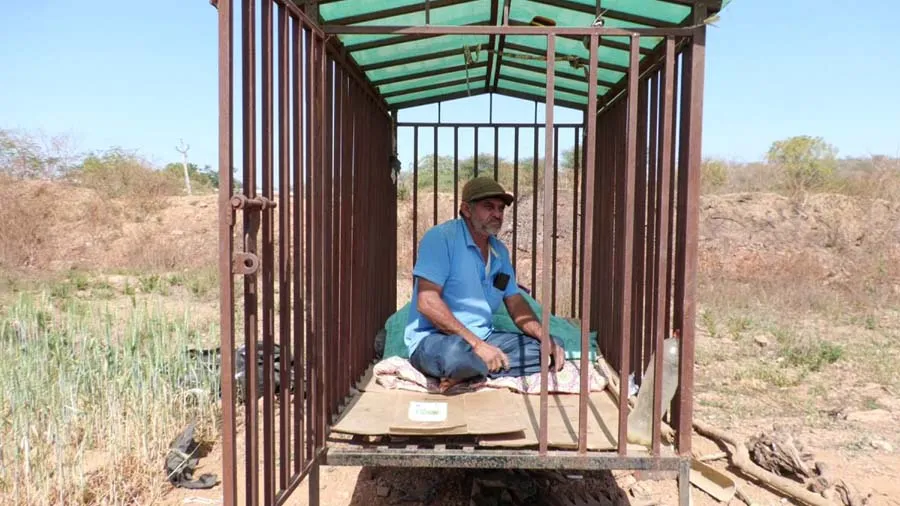 ખેડૂત જીવ બચાવે કે....પાક બચાવે, દીપડાના આતંકથી ખેડૂતો થરથર કાંપી રહ્યા છે