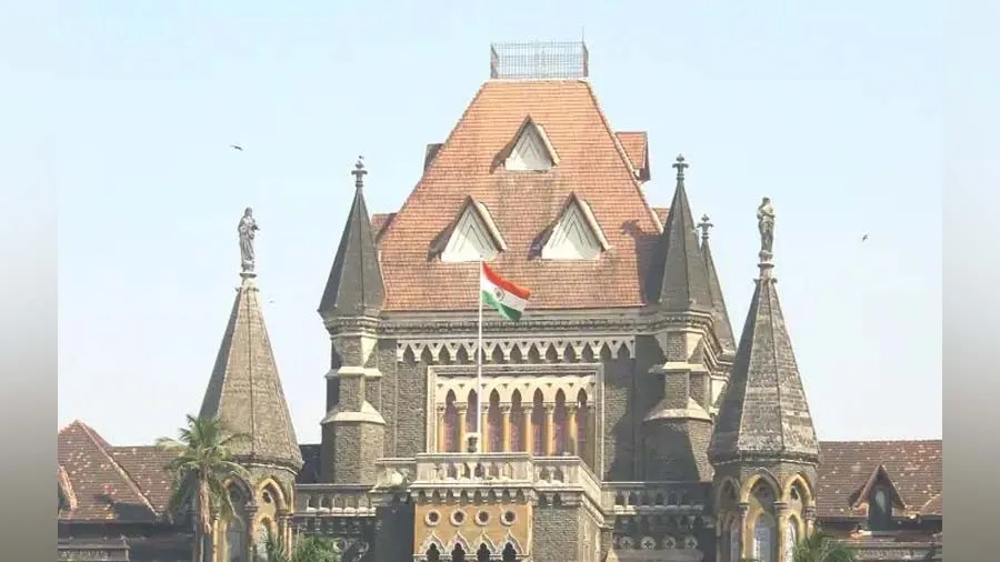 રખડતા કૂતરા અંગે જજ અકળાયા, વકીલને કહ્યું- કૂતરાને કોણ સમજાવશે?