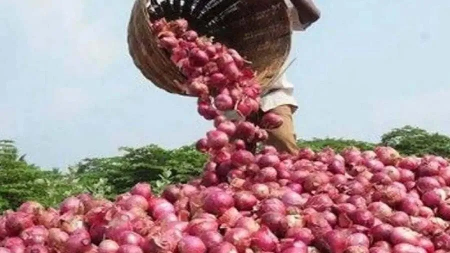 70 કિમી કાપીને માર્કેટ પહોંચ્યો ખેડૂત, 5 ક્વિન્ટલ ડુંગળીના મળ્યા માત્ર 2 રૂપિયા