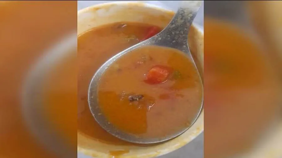 સાંભરમાંથી વંદો મળ્યો, રેસ્ટોરાં કહે મરચું છે, મેનેજર કહે- જે કરવું હોય તે કરો