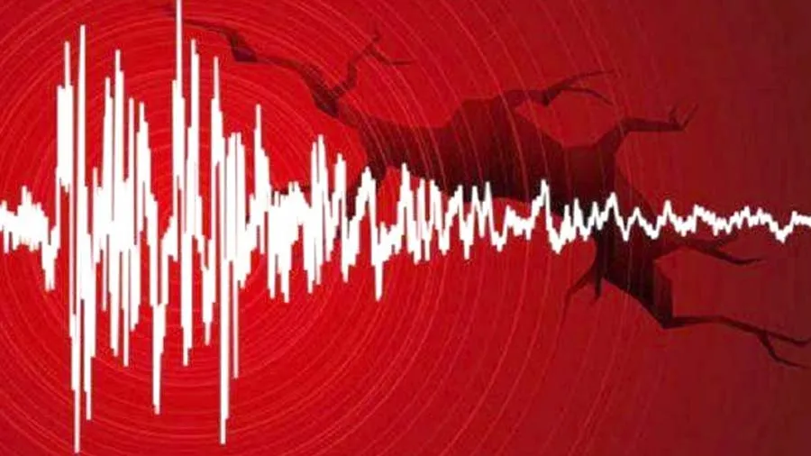 શું હોય છે ‘ભૂકંપ સ્વાર્મ’, આખરે સતત કેમ કંપી રહી છે અમરેલીની ધરતી?