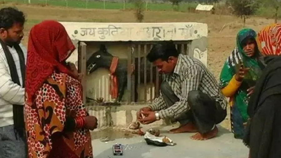 ભારતના આ ગામમાં છે કાળી કૂતરીનું મંદિર, લોકો કુતિયા મહારાનીમાં ની જય બોલાવે છે