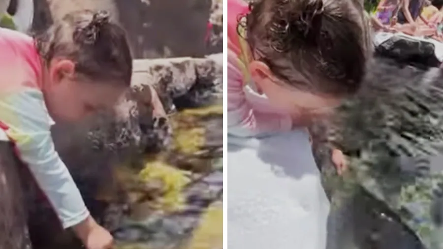 માછલીઓને ગ્લાસ વડે પાણી પીવડાવતી નાનકડી બાળકીનો આ Video તમારું દિલ જીતી લેશે