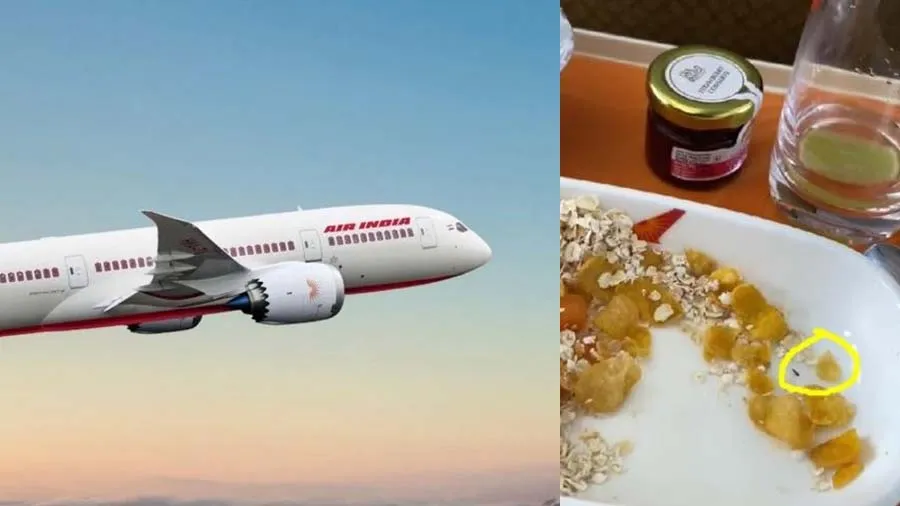 એર ઇન્ડિયાના બિઝનેસ ક્લાસ પેસેન્જરના જમવામાં જીવતો કીડો નિકળ્યો, જુઓ વીડિયો