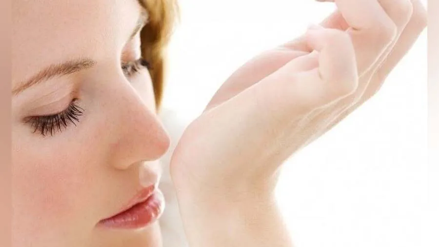 શું વાયુ પ્રદૂષણ ધીમે ધીમે ગંધને પારખવાની શક્તિ છીનવી રહ્યું છે? શું કહે છે તારણ