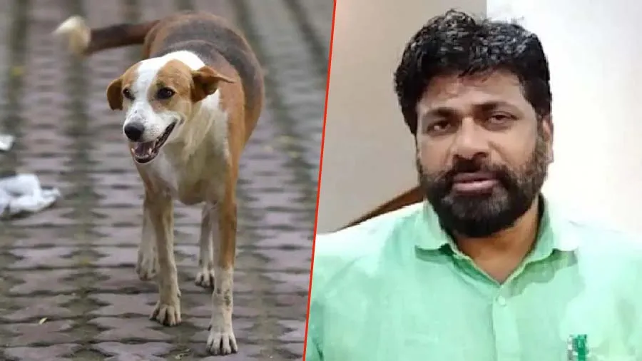 MLAની રખડતા કૂતરાઓને આ ભાજપ શાસિત રાજ્યમાં મોકલવાની સલાહ, કહ્યું- તેઓ ખાઈ જાય છે