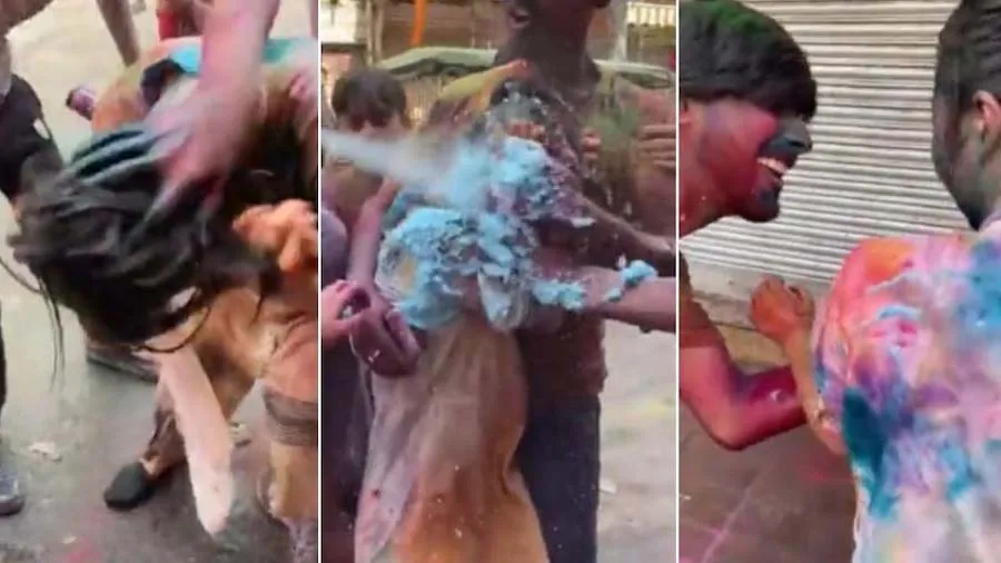 આપણા દેશના રાક્ષસો જોઈ લો ભારતમાં હોળી રમવા આવેલી જાપાનની મહિલાને ગમે ત્યા અડ્યા