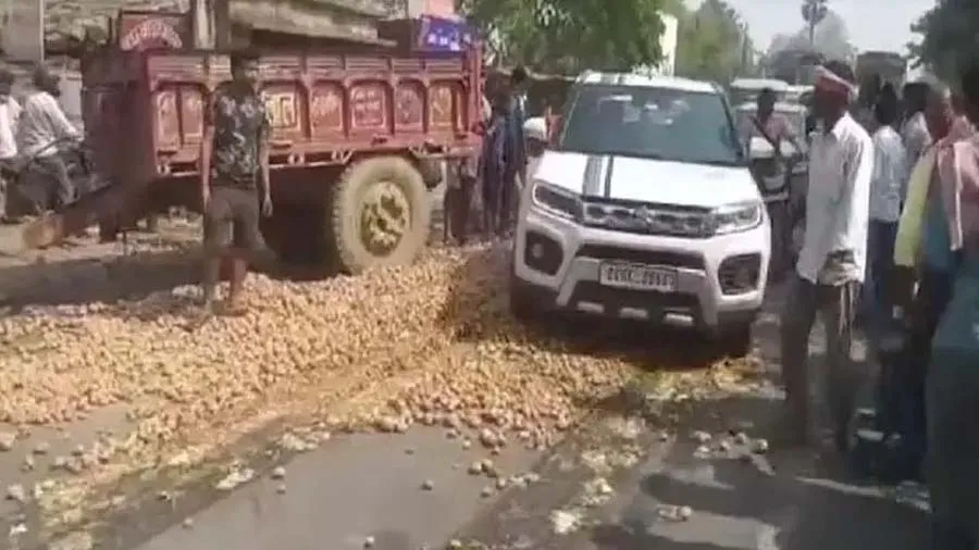 બટાકા પર 4 રૂપિયા આપવા પણ તૈયાર નથી વેપારી, ખેડૂતોએ રસ્તા પર ફેકી દીધો પાક